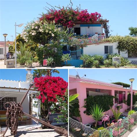casas na ilha para alugar|Ilha do Farol, Ilha da Culatra Arrendamentos de férias e casas.